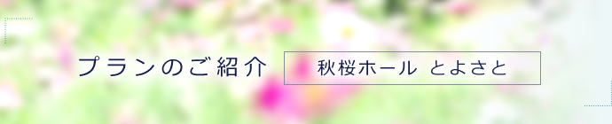 プランのご紹介　秋桜ホールとよさと